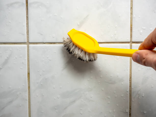 Best Black Mold Removal  in Tipton, MO
